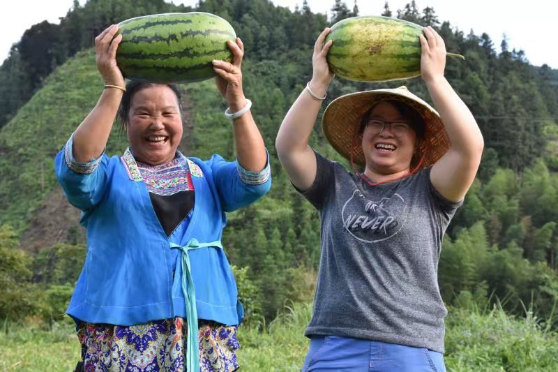 广西竹子最多在哪个县_广西竹子加工厂_广西种植竹子致富