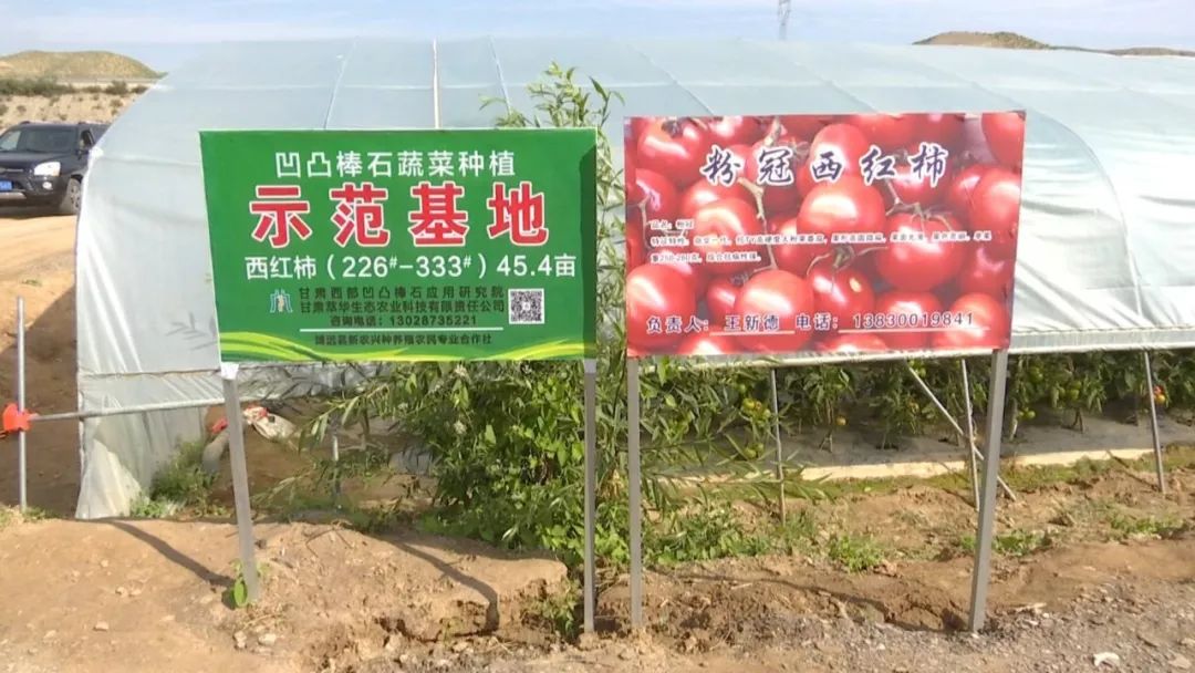 扶贫致富项目有哪些_特色种植扶贫致富_扶贫种植有什么项目