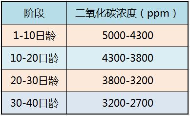 致富新项目养鸡_养殖鸡致富经_致富经种鸡的饲养管理