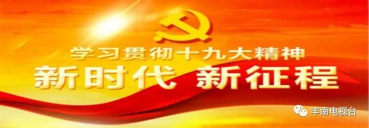 去哪里学肉鸽养殖技术_肉鸽养殖技术书籍_养殖学技术去肉鸽可以吗