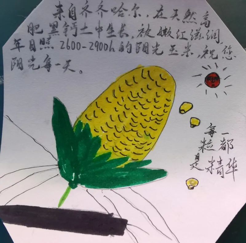 北纬30度种植经济作物_北纬种植致富项目_北纬30度农业特色