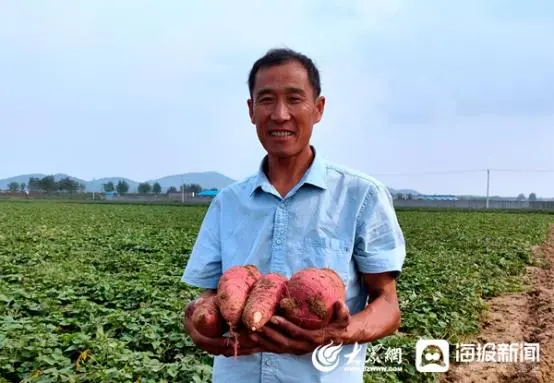 致富经红薯叶致富视频_红薯致富经致富经视频_展功成红薯致富经