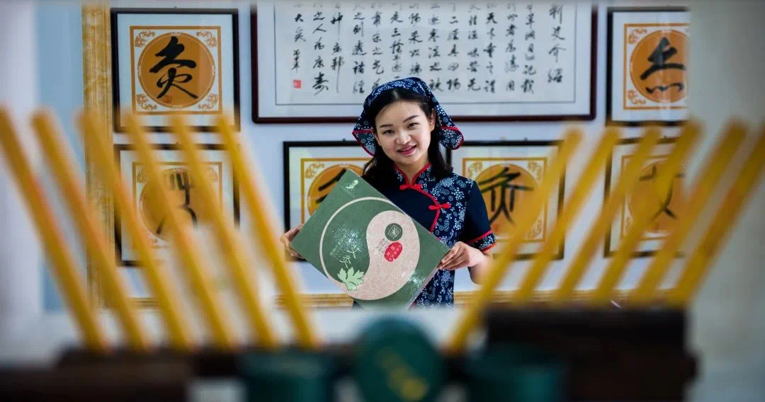 艾叶种植致富吗_致富种植艾叶怎么样_种艾叶赚钱吗