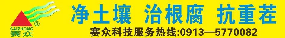 致富向导 | 农村这种野生菜成致富新项目，人工如何种植？