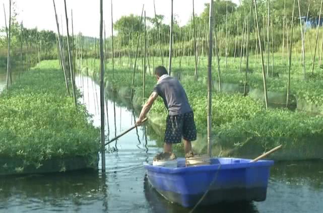 致富养殖室内故事视频_致富经室内养殖_室内养殖致富故事