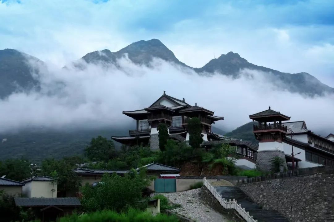 东川中药种植致富_中药材种植致富_致富药材种植