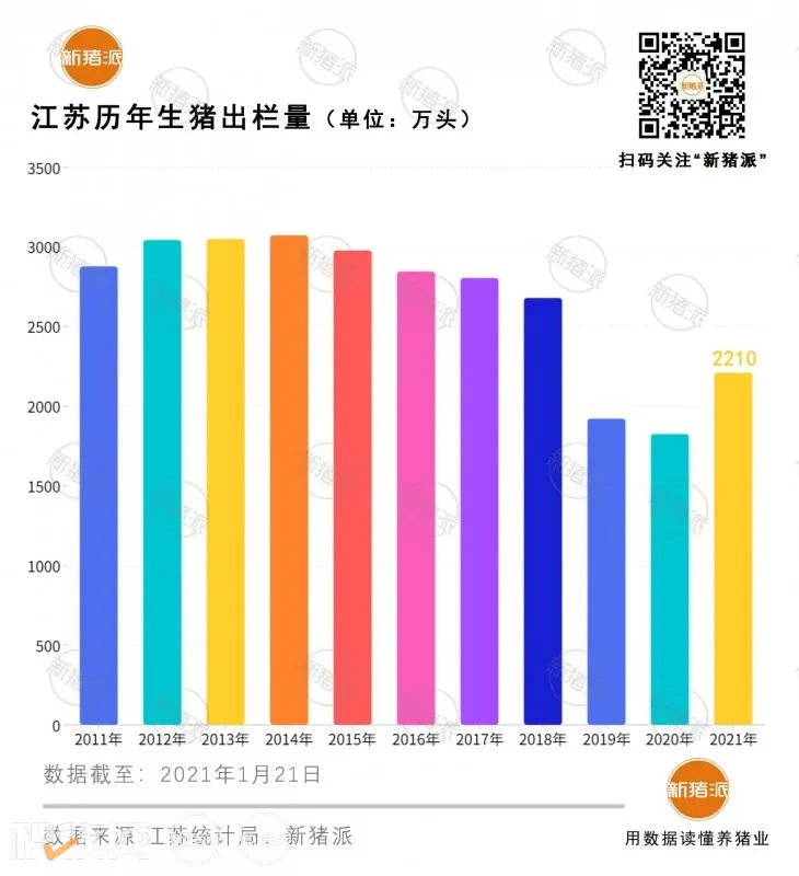 2210万头！江苏2021年出栏增长21%，今年规模化率要超过85%