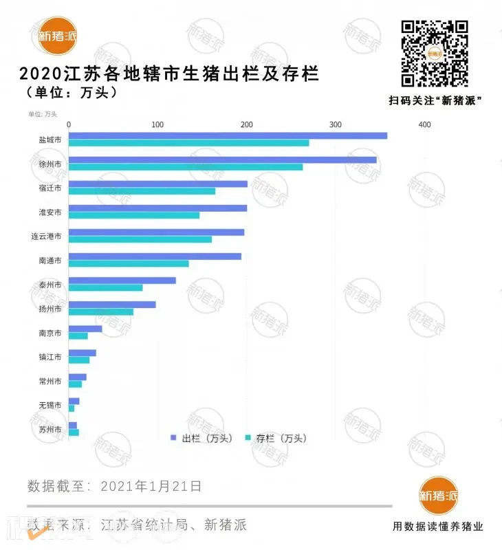 2210万头！江苏2021年出栏增长21%，今年规模化率要超过85%