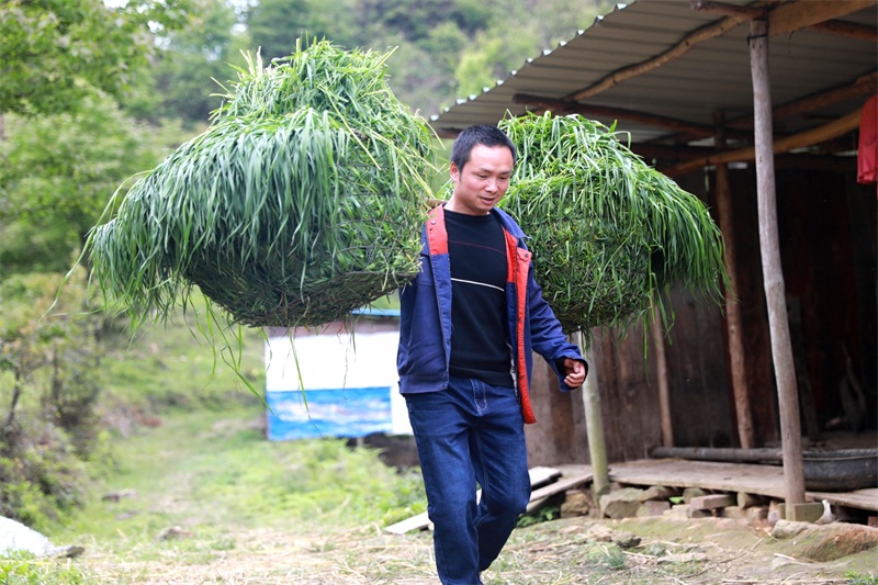 岑文成：用青春唱响乡村“致富”之歌