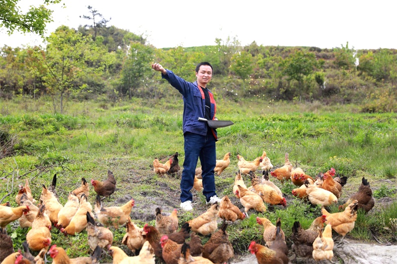 农民种地的歌曲_农村种植致富歌_农村致富种植项目