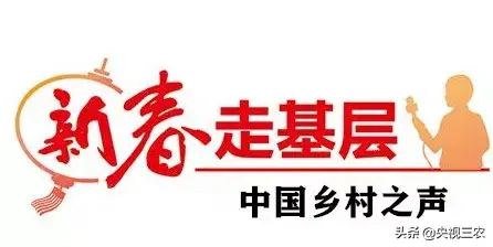 他一件葫芦作品能卖几十万，带村民发展产业不收一分钱