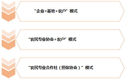 致富项目 养殖金蝉_致富养殖金蝉项目有哪些_养殖金蝉投资多少钱利润多少