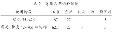 不同阶段蛋鸡饲料配制与饲喂技术要点