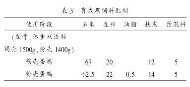 蛋壳粉喂鸡_粉壳蛋鸡养殖技术_蛋壳粉饲料