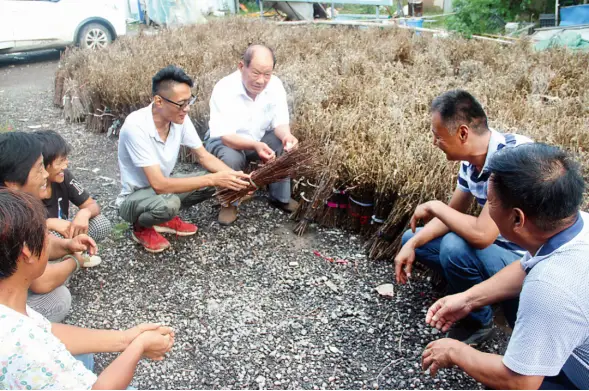 养殖金蝉投资多少钱利润多少_致富项目 养殖金蝉_农村养殖好项目金蝉