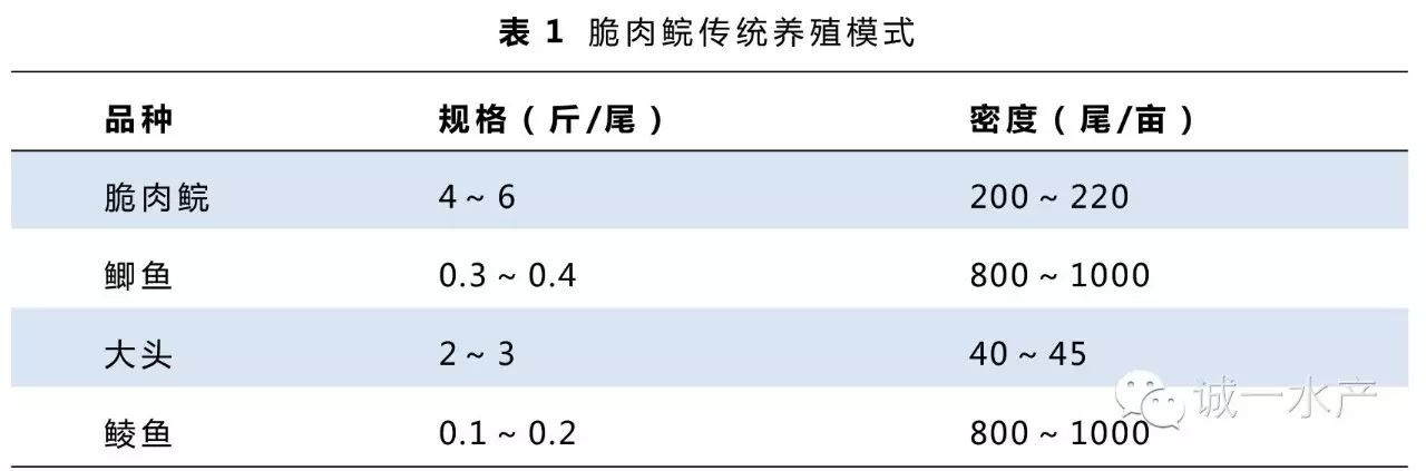 脆肉鲩能在什么地方养殖_脆肉鲩的养殖技术_如何养殖脆肉鲩