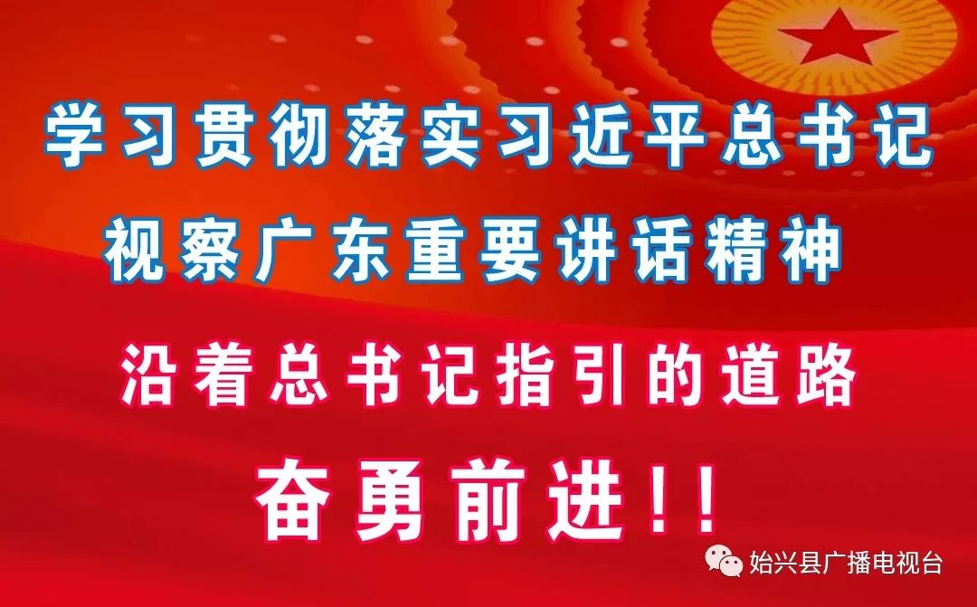 橙子种植技术_种橙子的致富经_橙子种植基地图片