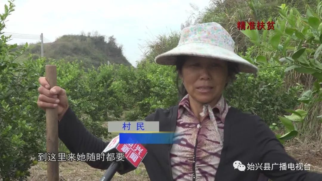 橙子种植技术_橙子种植基地图片_种橙子的致富经