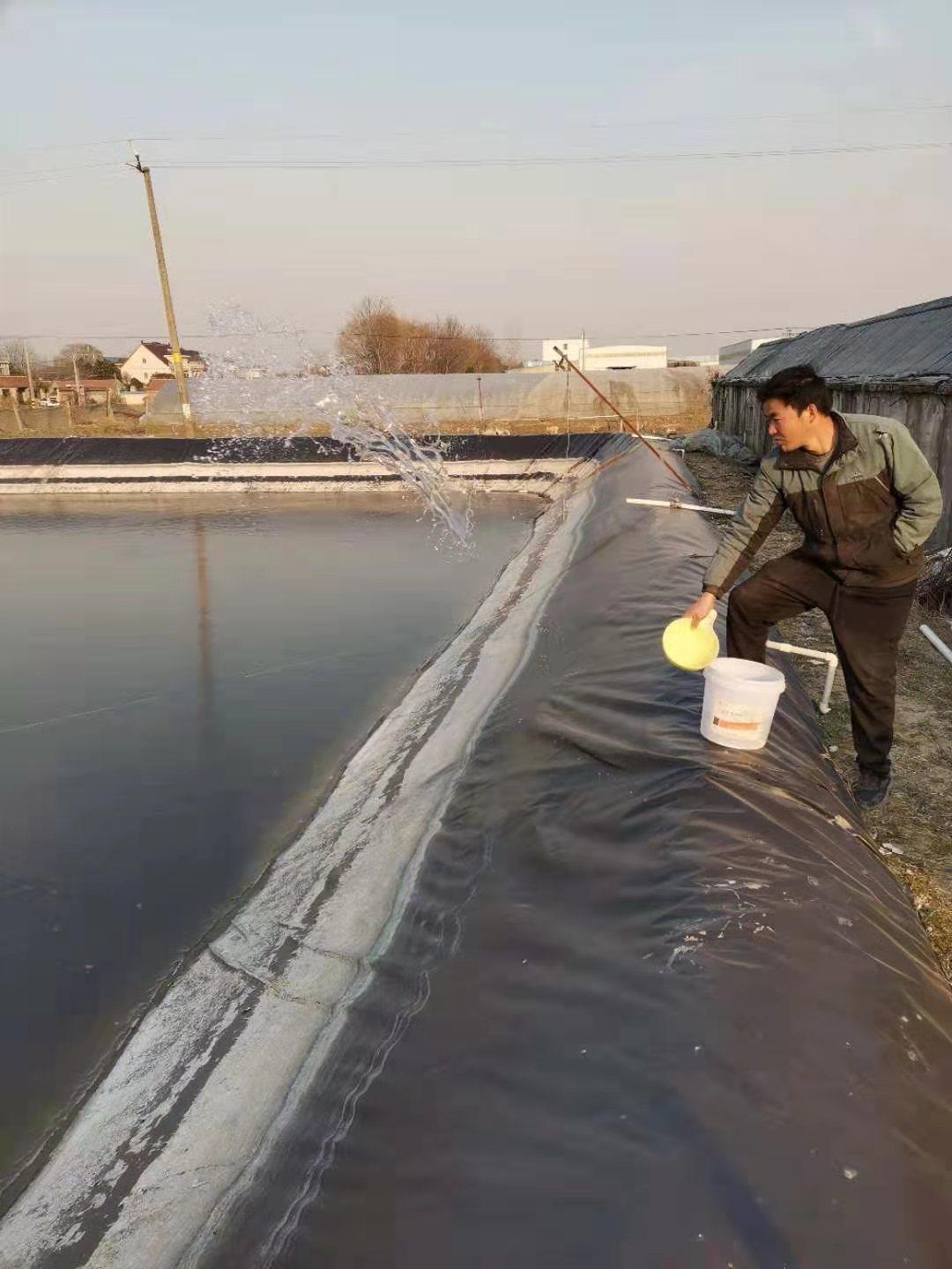 泥鳅养殖致富的人_养殖泥鳅富豪_养殖泥鳅前景