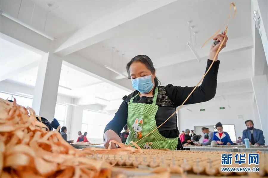 内蒙古致富项目_内蒙种植什么能赚钱_内蒙农民种植致富