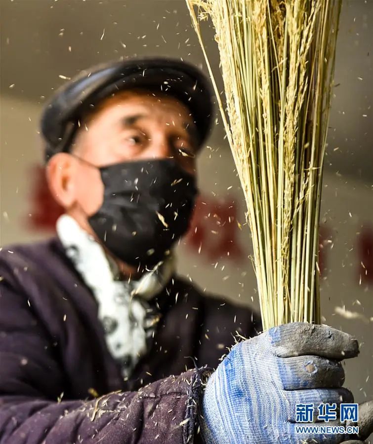 内蒙种植什么能赚钱_内蒙农民种植致富_内蒙古致富项目