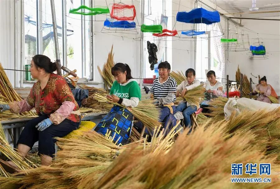 内蒙农民种植致富_内蒙种植什么能赚钱_内蒙古致富项目