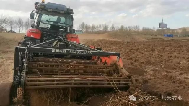 内蒙种植什么能赚钱_内蒙农民种植致富_内蒙古致富项目