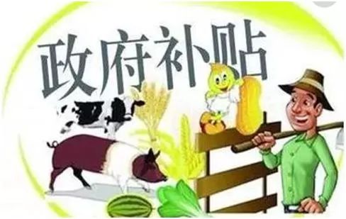 致富经奶牛养殖视频_致富养殖奶牛赚钱吗_致富经养殖奶牛