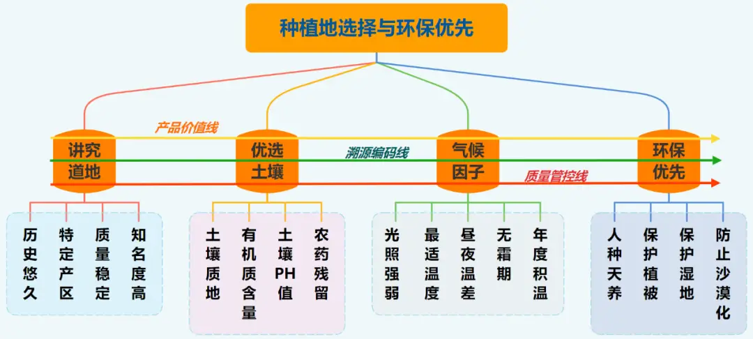 中药材种植，如何产好药（二）