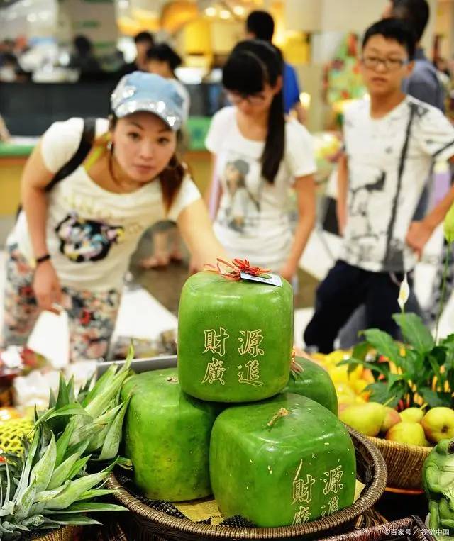 吊蔓西瓜致富经_西瓜吊蔓种植法视频_致富经西瓜种植视频