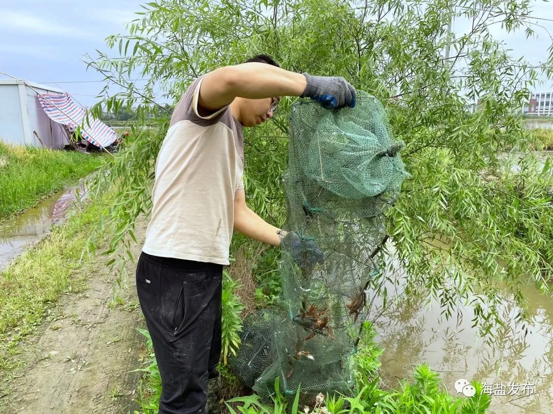 致富种植什么比较赚大钱_种植致富的秘诀_致富种植视频全集