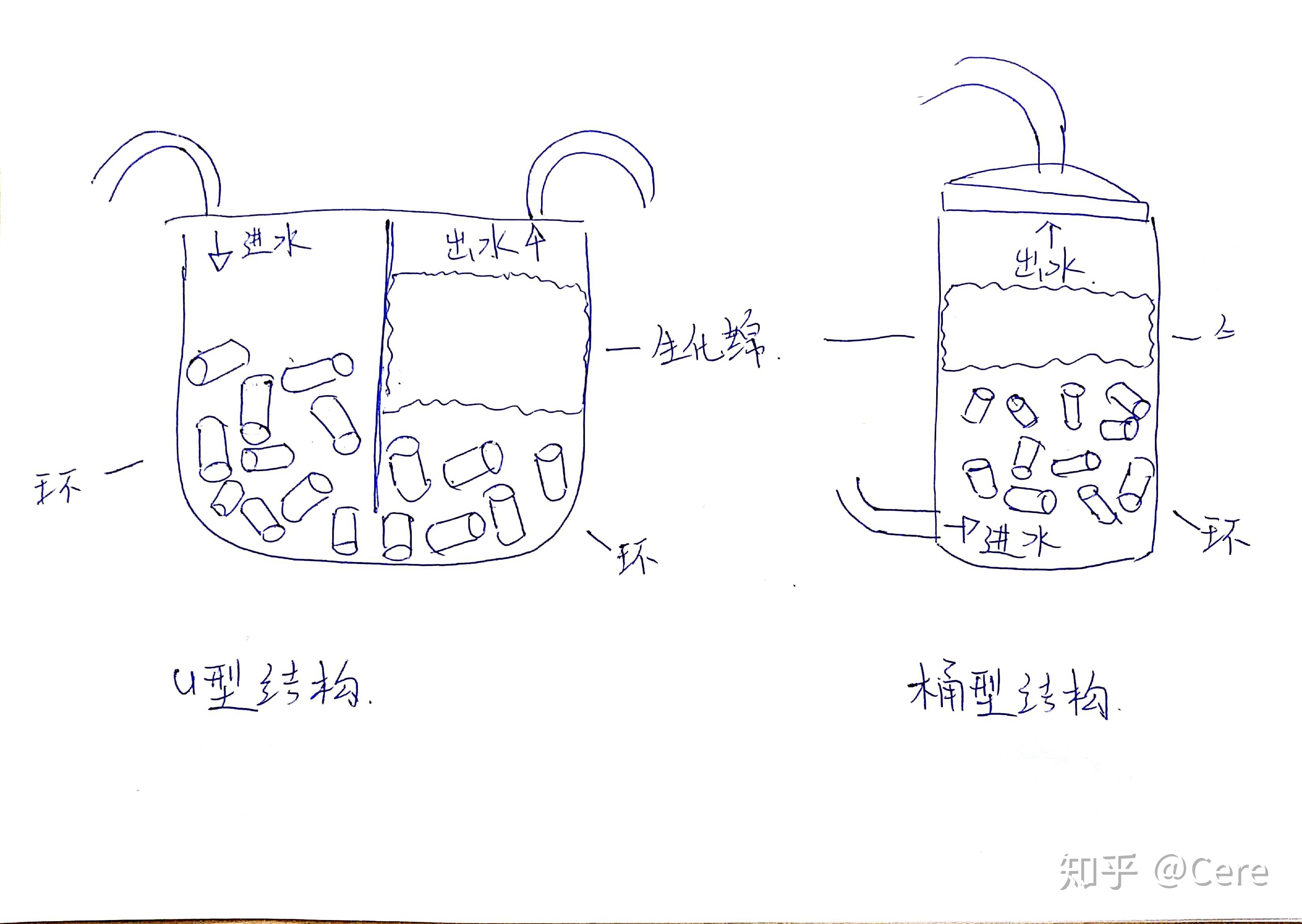 养殖飞狐技术要求_养殖飞狐技术与管理_飞狐养殖技术