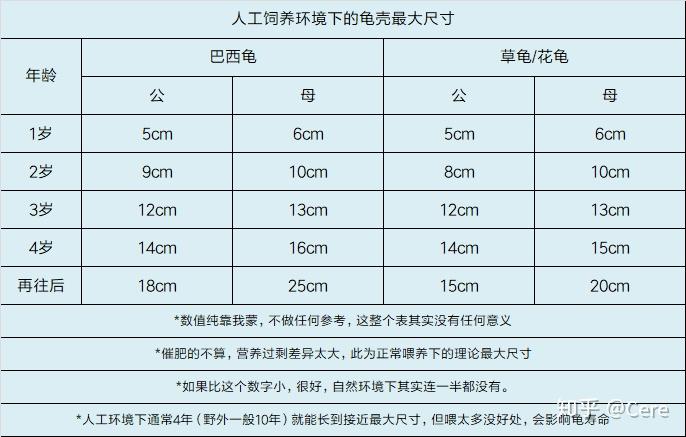 养殖飞狐技术要求_养殖飞狐技术与管理_飞狐养殖技术