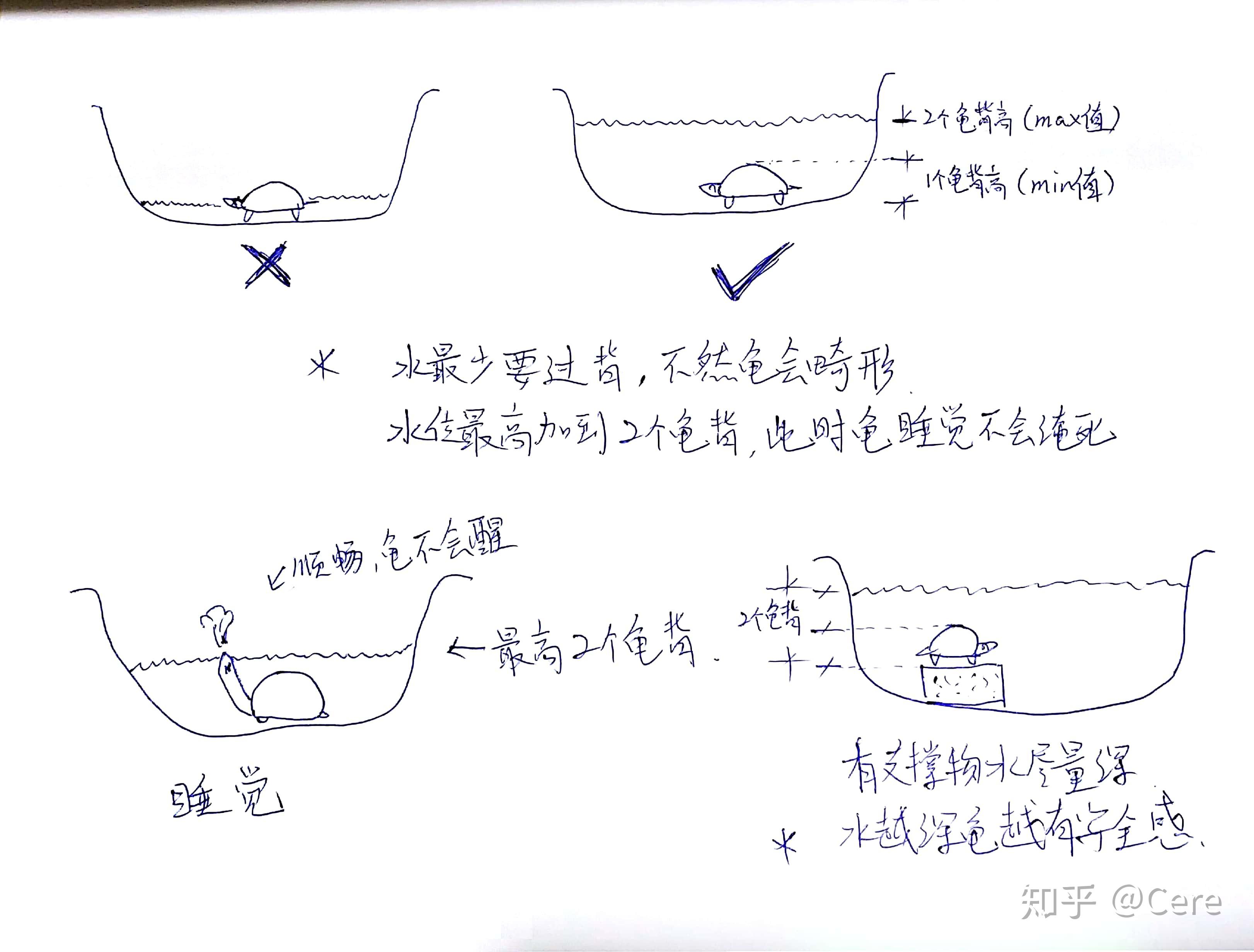 养殖飞狐技术与管理_飞狐养殖技术_养殖飞狐技术要求