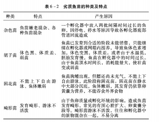 草鱼寸片鱼苗养殖技术_片草鱼的技巧_草鱼寸片养殖技术