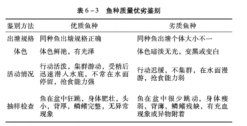 草鱼寸片鱼苗养殖技术_草鱼寸片养殖技术_片草鱼的技巧