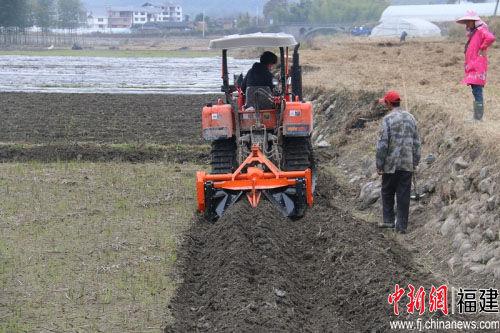 福建建宁：种好“金叶子” 收获好日子