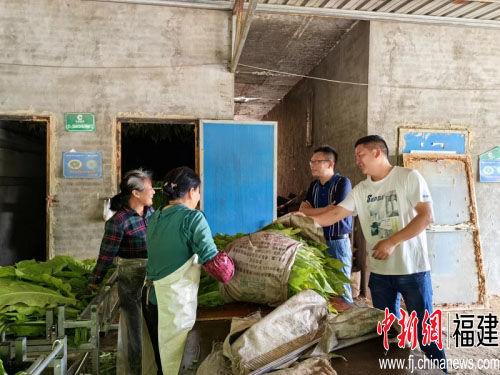 致富经种植莲子_莲子种植_致富莲子种植条件