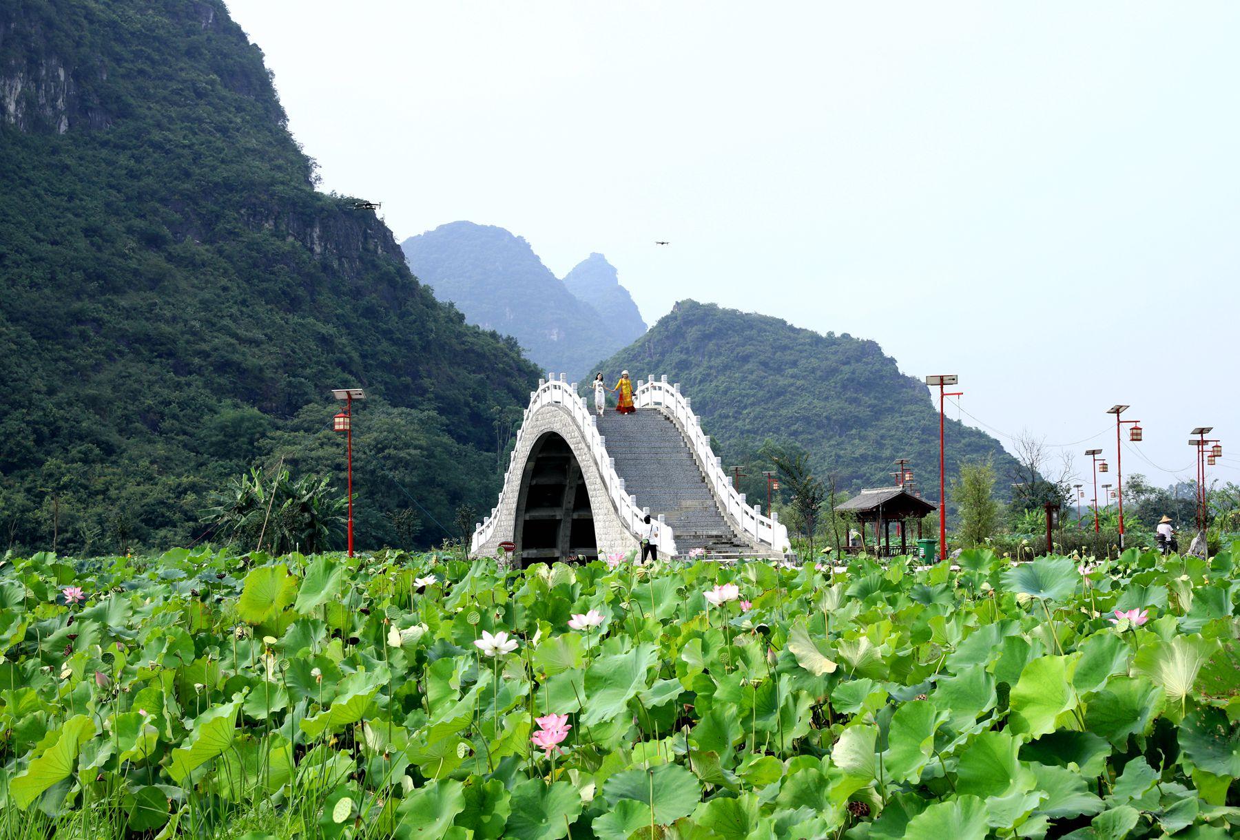 莲子种植_致富莲子种植方法_致富经种植莲子