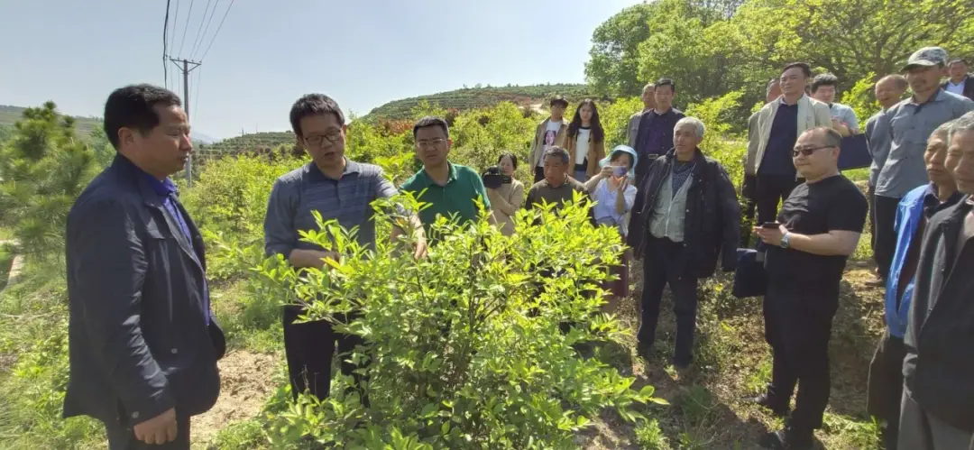 鸭子养殖场视频_鸭子养殖视频农广天地_农业卫视鸭子养殖技术视频