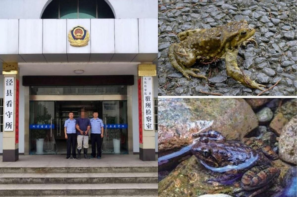 致富经蟾衣致富的能人_致富经蟾衣致富的能人_致富经蟾衣致富的能人