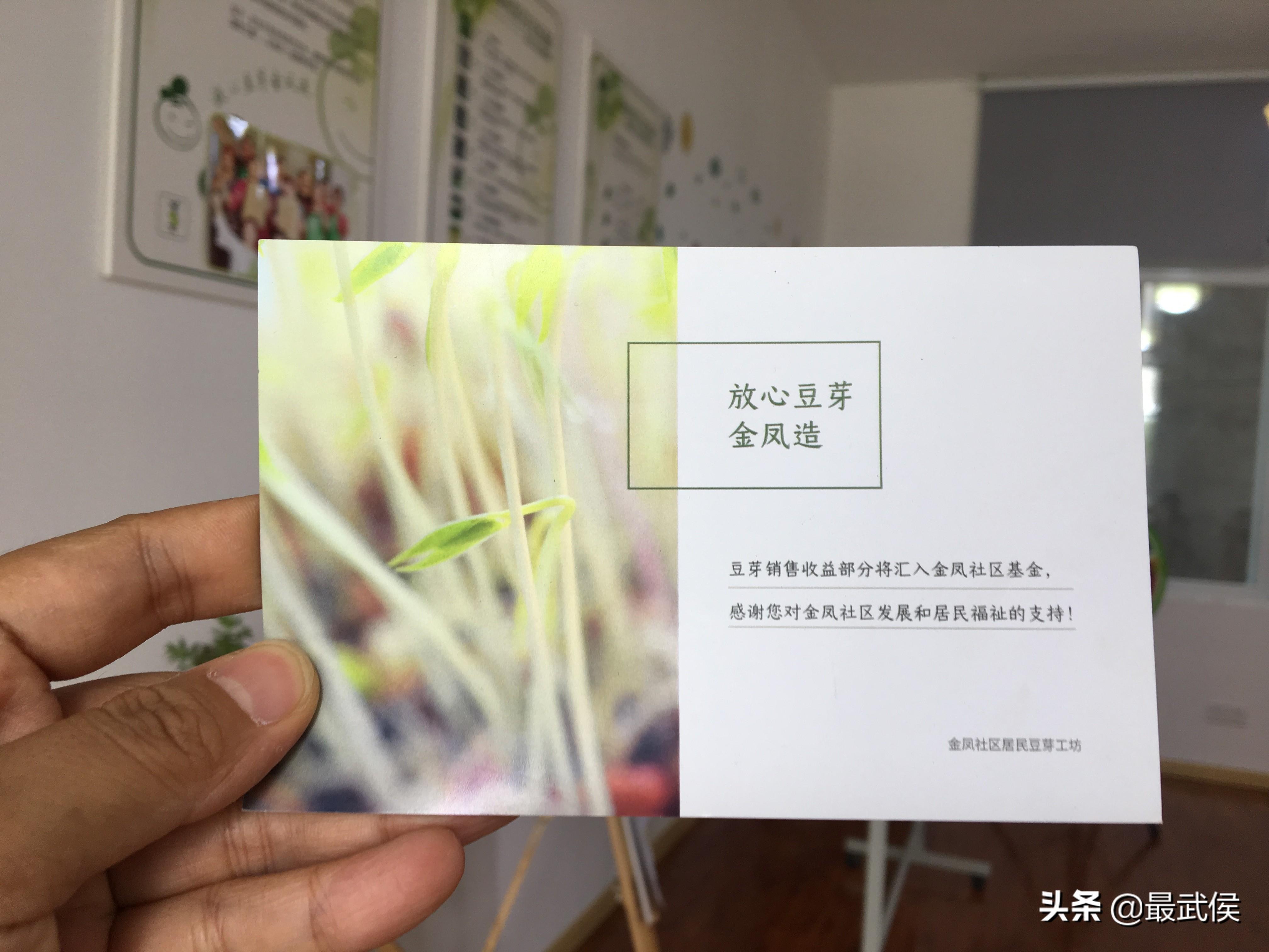 豆芽创业致富_致富经豆芽工厂化生产视频_致富经有豆芽视频