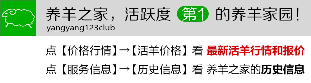 禁牧形式下，掌握皇竹草种植技术，势在必行！