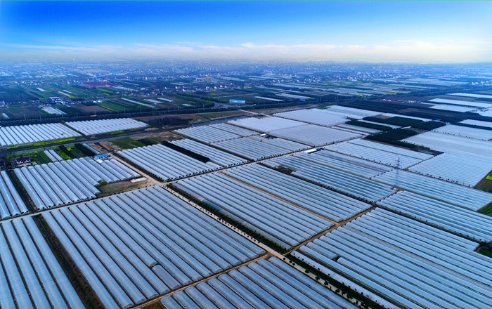 西瓜怎么种植甜_西瓜种植视频农广天地_甜西瓜种植技术视频