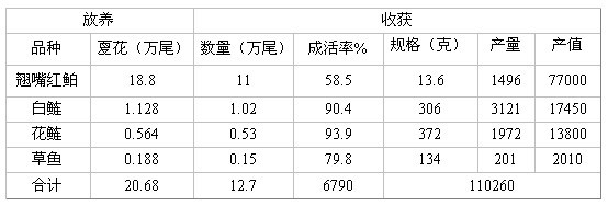 人工养殖翘嘴鱼技术_人工养殖翘嘴鱼视频_养殖人工鱼技术翘嘴视频