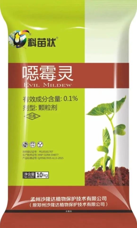 草莓种植是冷棚还是暖棚好_冷棚种草莓需要几层棚膜_冷棚草莓种植技术