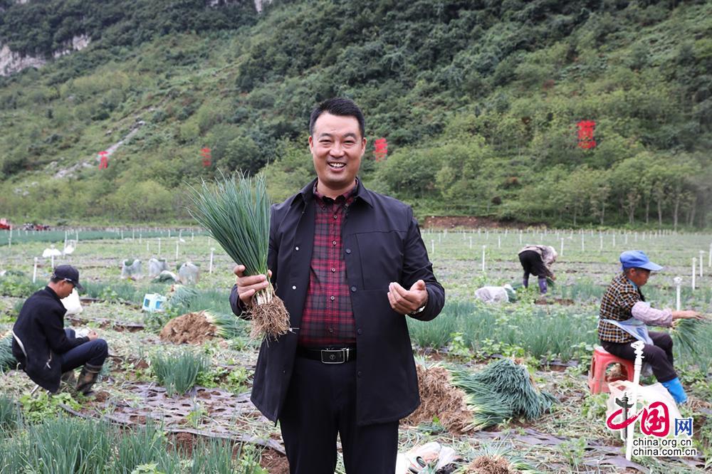 致富扶贫精准种植工作总结_精准扶贫种植致富_致富扶贫精准种植工作方案