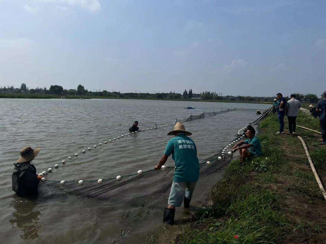 致富顺养殖电话_富顺养羊场_富顺养殖合作社