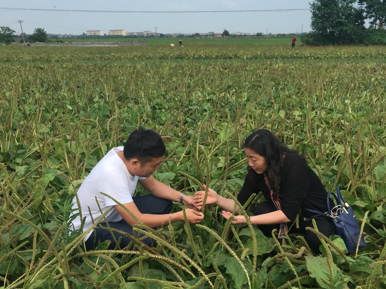 5年，200户脱贫，1528户走上种植致富之路…江苏这家医院在贵州扶贫的成绩单“亮了”