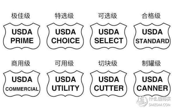 日本和牛 养殖技术视频_日本牛怎么养_日本肉牛养殖